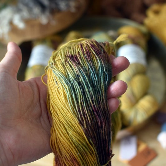 "Potpourri" - Merino Singles - 100g ~366m